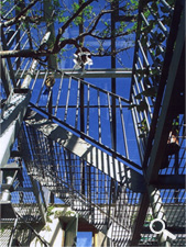 Trenabie Mill